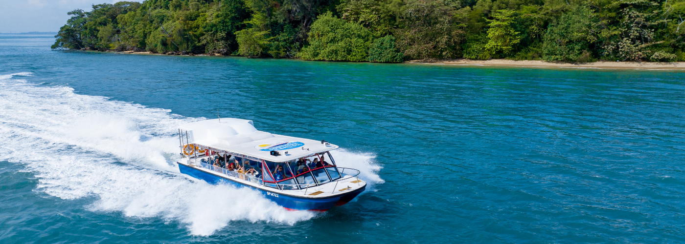 Southern Albatross - Singapore Speedboat Adventures